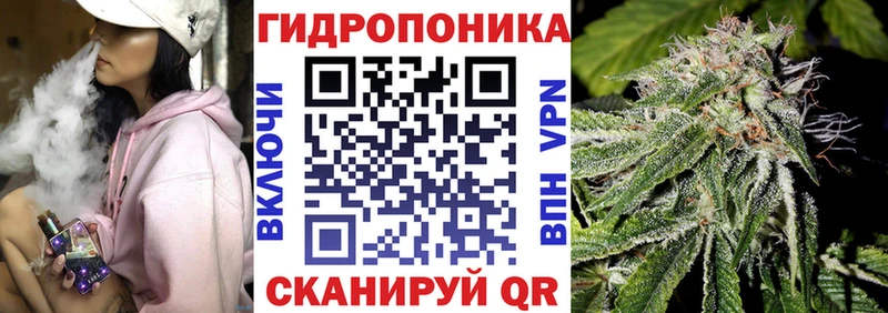 Бошки марихуана план  hydra ТОР  Свободный 